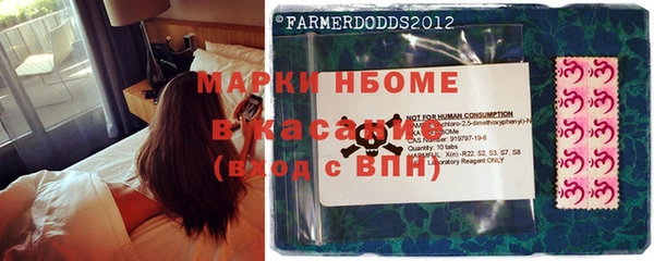 ГАЛЛЮЦИНОГЕННЫЕ ГРИБЫ Пересвет